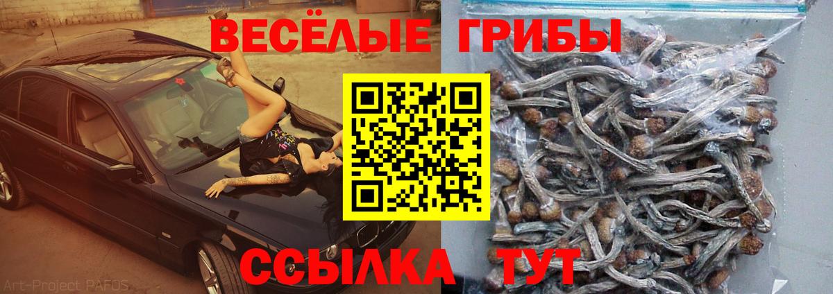 Соликамск  Галлюциногенные грибы GOLDEN TEACHER  Псилоцибиновые грибы Psilocybe  Вход с VPN 